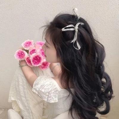 观鸟者