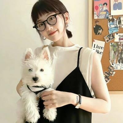 大联盟
